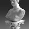 Venus Bust