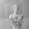 Venus Bust
