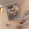 Apartment in Merano (Bolzano) - Kitchen